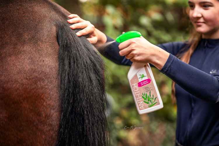 PREPARAT PRZECIW SWĘDZENIU KOŃ KONIE NA LIPCÓWKĘ