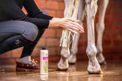 SZAMPON DLA KONIA KONI BIAŁYCH SIWYCH JASNYCH PERŁOWY