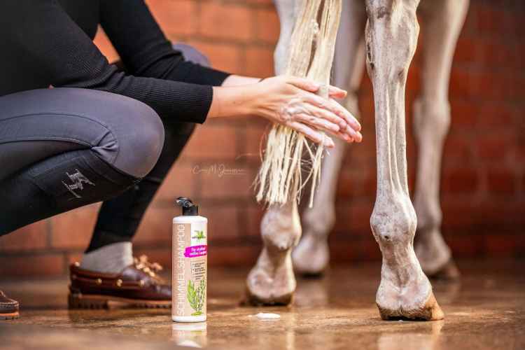 SZAMPON DLA KONIA KONI BIAŁYCH SIWYCH JASNYCH PERŁOWY