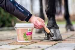 SMAR DO KOPYT KONIA Z OLEJKIEM LAUROWYM ŻÓŁTY 1L NATURALNY ANTYBAKTERYJNY