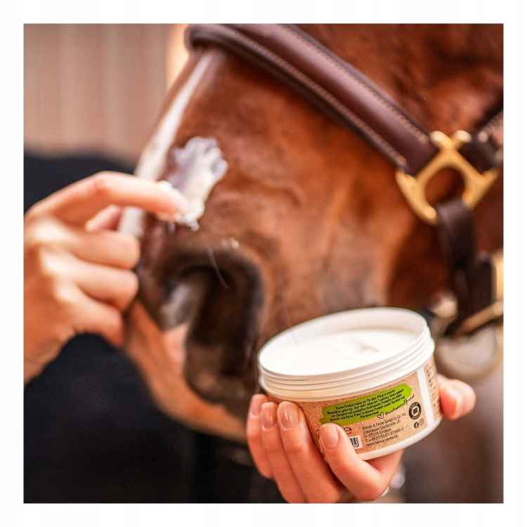 MAŚĆ NA RANY DLA KONIA KONI NA OTARCIA GRUDĘ WSPOMAGA GOJENIE CYNK