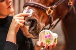 MAŚĆ NA RANY DLA KONIA KONI NA OTARCIA GRUDĘ WSPOMAGA GOJENIE CYNK