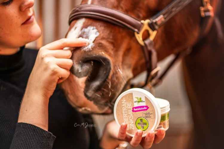 MAŚĆ NA RANY DLA KONIA KONI NA OTARCIA GRUDĘ WSPOMAGA GOJENIE CYNK