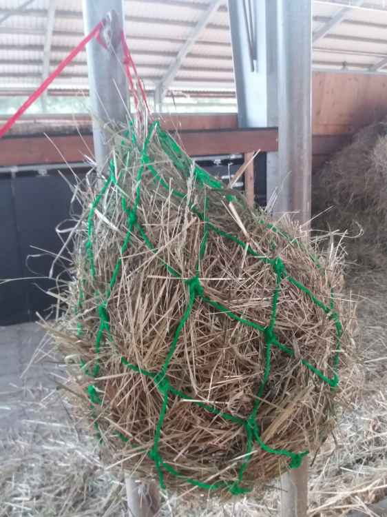 SIATKA NA SIANO DLA KONIA KONI OCZKA 10 x 10 cm