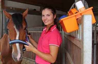 ORGANIZER SKRZYNKA POJEMNIK NA BOKS NA KOSMETYKI SZCZOTKI DLA KONIA KONI