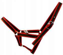 KANTAR DLA KONIA COB BYKA DUŻEGO CIELAKA KROWY 3