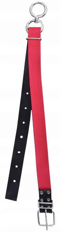 Obroża dla bydła krów krowy byka 150x5cm MOCNA