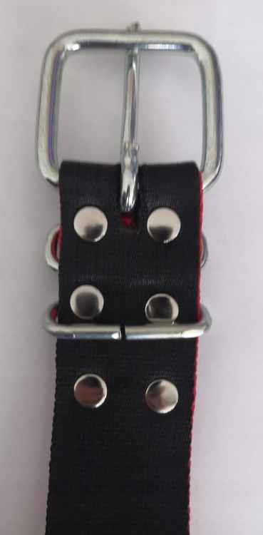 Obroża dla bydła krów krowy byka 150x5cm MOCNA