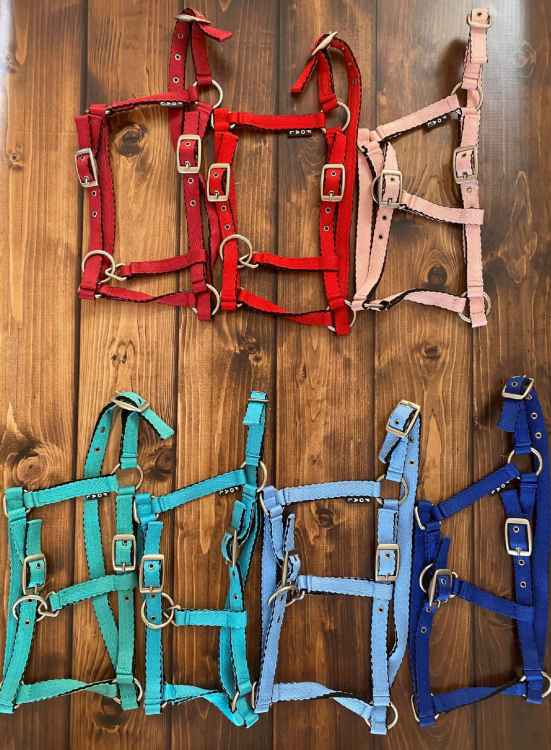 UWIĄZ DLA KONIA KUCA ŹREBAKA 2M STANDARD CZARNY