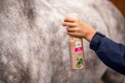 SPRAY PREPARAT PRZECIW OWADOM MUCHOM KOMAROM DLA KONIA KOŃ