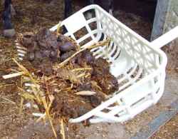 WIDŁY PREMIUM DO STAJNI DLA KONIA DO OBORNIKA Z WŁÓKNEM SZKLANYM