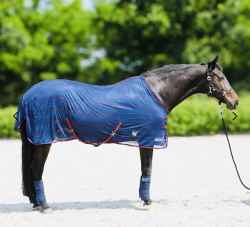 DERKA SIATKOWA DLA KONIA PRZECIW OWADOM