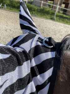 MOSKITIERA MASKA DLA KONIA PRZECIW OWADOM NA MUCHY ZEBRA Z USZAMI PONY