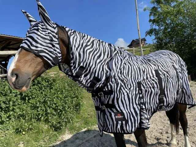 DERKA SIATKOWA ZEBRA DLA KONIA PRZECIW OWADOM