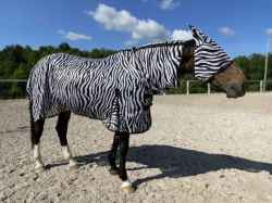 DERKA ZEBRA SIATKOWA ODSTRASZAJĄCA OWADY