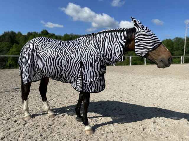 DERKA ZEBRA SIATKOWA ODSTRASZAJĄCA OWADY