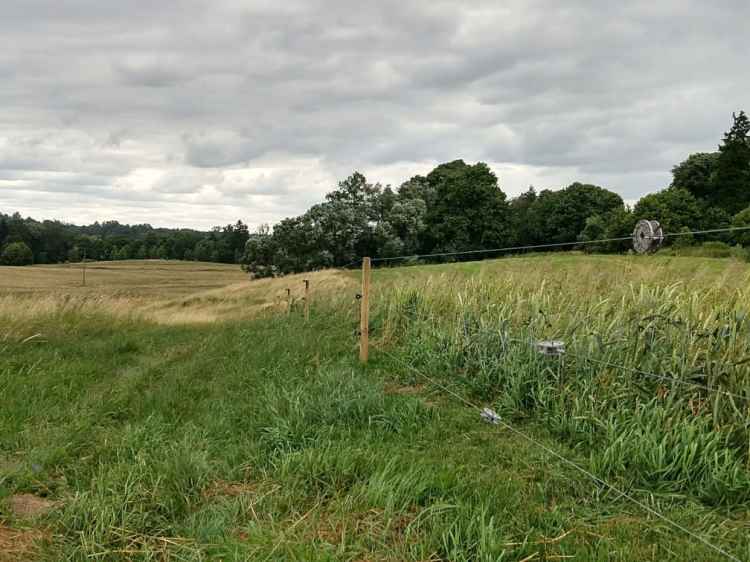 c3f05f2b32af4f818ebcdf058216c854