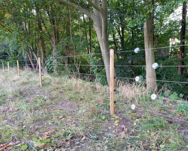 9ce3731382a34512160a81a2f311d987