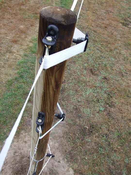 cf4f6a90d8c582e3010bd46e338264f2