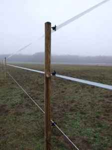 7e93c54acc10e43ce217afdf43042efa