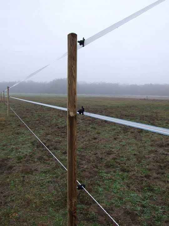 7e93c54acc10e43ce217afdf43042efa