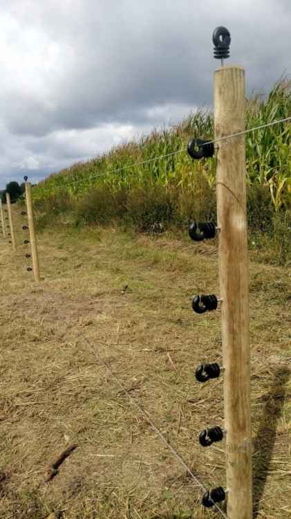 545fbfa668d89c3b7d12f4628c8f5a26