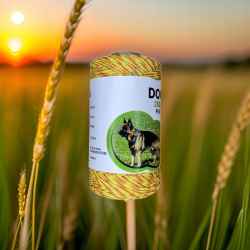 1976fe43935d6d7a1457a2911f0aa134