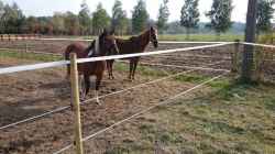 GRUBA PLECIONKA 5MM 200M LINA DO OGRODZENIA