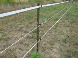 LINA DO OGRODZENIA DLA KONI BYDŁA 200M 5MM