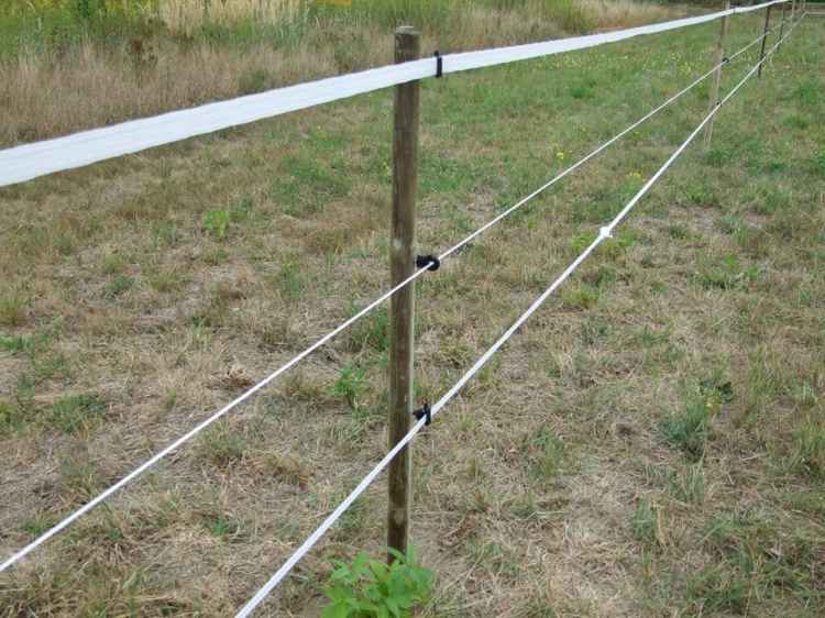 LINA DO OGRODZENIA DLA KONI BYDŁA 200M 5MM