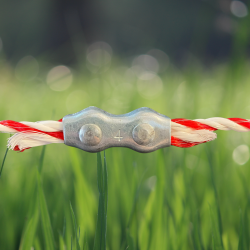 Bez tytułu (2560 x 2560 px) (8).png