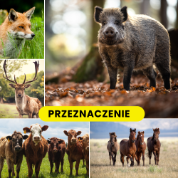 PASTUCH ELEKTRYCZNY NA DZIKI LISY WILKI JELENIE KONIE BYDŁO KROWY PSY 230 V