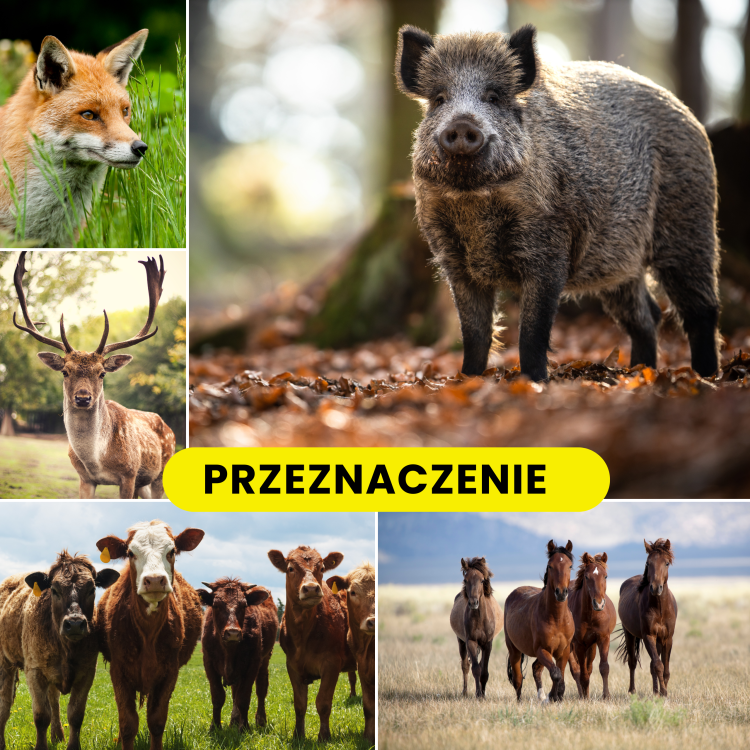 PASTUCH ELEKTRYCZNY NA DZIKI LISY WILKI JELENIE KONIE BYDŁO KROWY PSY 230 V