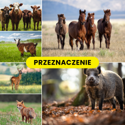 PASTUCH ELEKTRYCZNY NA DZIKI WILKI KONIE BYDŁO NA AKUMULATOR