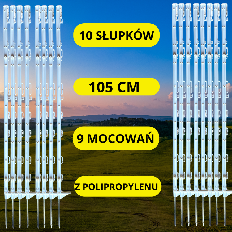 OGRODZENIE ELEKTRYCZNE PASTUCH ELEKTRYCZNY DLA PSA DO OGROGU NA WYDRĘ DRÓB