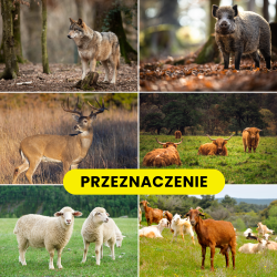 PASTUCH ELEKTRYCZNY BARDZO MOCNY NA DZIKI WILKI BYDŁO ZE SŁUPKAMI 12V