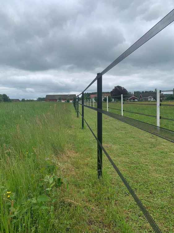 Zestaw ogrodzenia dla koni 50 słupków EquiSafe + 2 linki THOR 6 mm / 200 m czarny