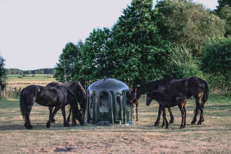 PAŚNIK DLA KONI ALPAK Z SIATKĄ 10-CIO STANOWISKOWY TYPU DZWON ZIELONY