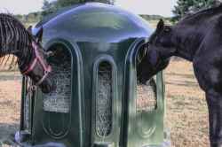 PAŚNIK DLA KONI ALPAK Z SIATKĄ 10-CIO STANOWISKOWY TYPU DZWON ZIELONY