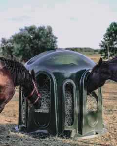 PAŚNIK DLA KONI ALPAK Z SIATKĄ 10-CIO STANOWISKOWY TYPU DZWON ZIELONY
