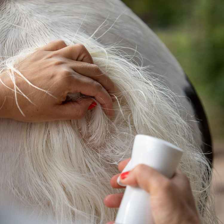 Preparat dla koni łagodzący swędzenie z aloesem