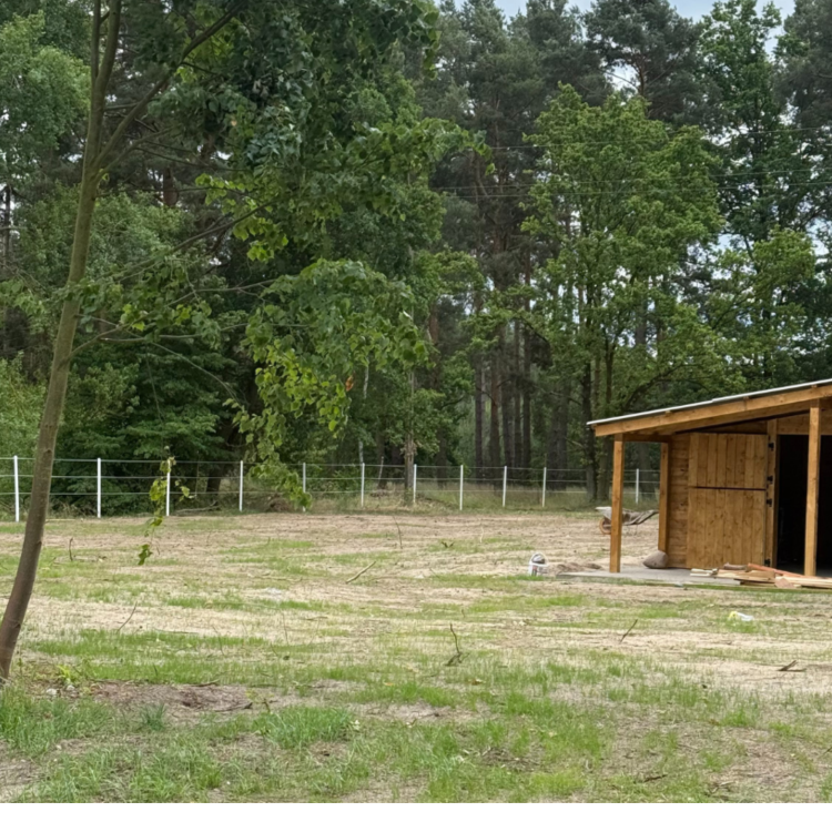 słupki do elektrycznego ogrodzenia dla koni.png
