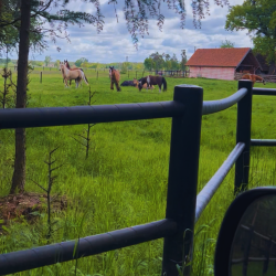 ogrodzenie dla koni z dwoma porzeczkami Equisafe od Profarmer.eu — kopia.png