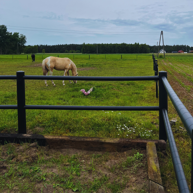 ogrodzenie padoku Equisafe od Profarmer.eu — kopia.png