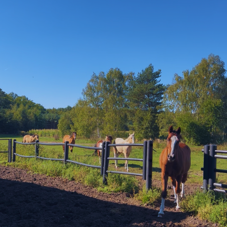 Ogrodzenie pastwiska od Profarmer.eu.png
