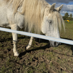 widoczna taśma do pastucha do długich ogrodzeń.png