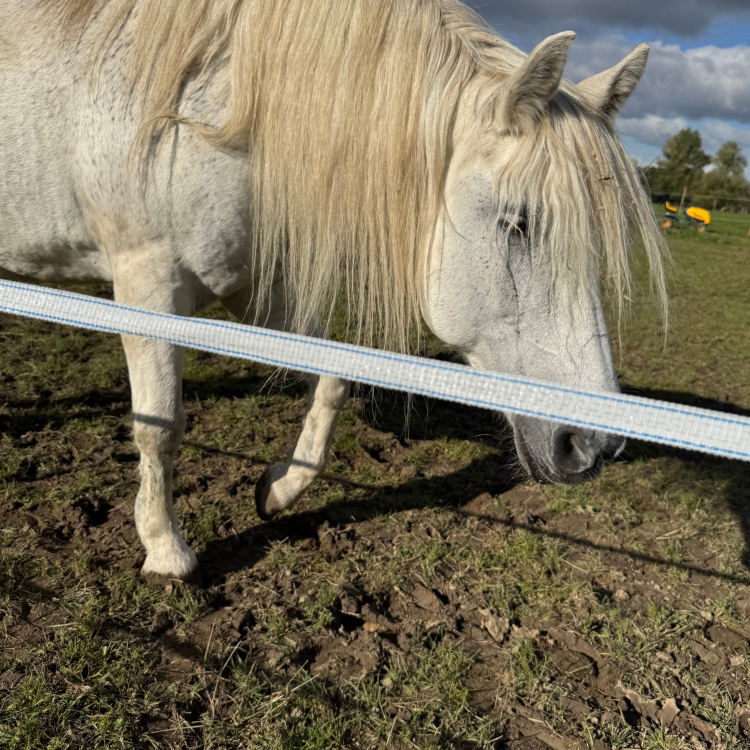 widoczna taśma do pastucha do długich ogrodzeń.png