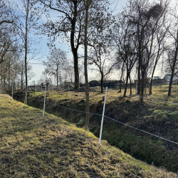 ogrodzenie padoku białymi słupkami plastikowymi.png