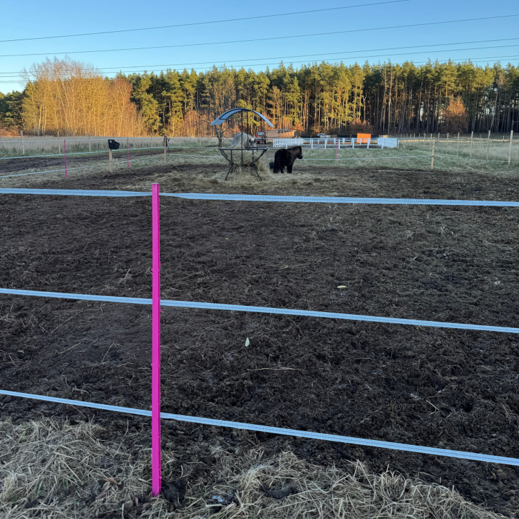 Różowy słupek do pastucha elektrycznego dla koni 154 cm.png