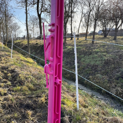 Słupek do taśmy ogrodzeniowej do padoku dla koni.png